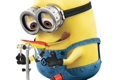 11391305_1640648002832089_4243331831386869273_n